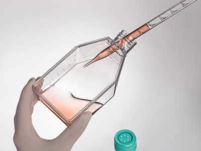 斜頸設(shè)計(jì)，易于傾倒，方便移 液管和細(xì)胞刮刀的進(jìn)出