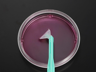 可自由旋轉(zhuǎn)刀片，能刮取各個(gè)角落，收獲細(xì)胞