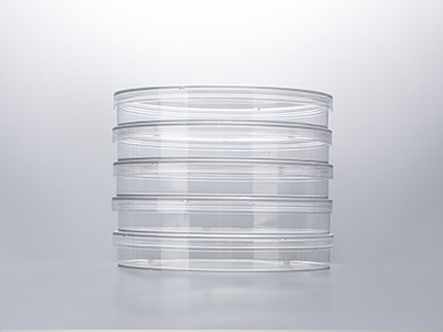 培養(yǎng)皿蓋外邊緣凸起，保證疊放穩(wěn)定；