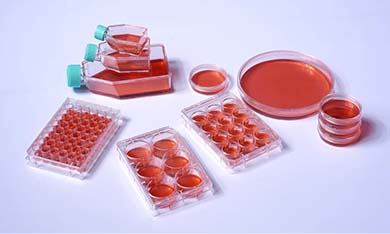 細(xì)胞培養(yǎng)板/瓶/皿常見問(wèn)題