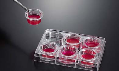 細(xì)胞嵌入皿常見問(wèn)題