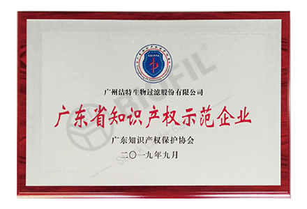 廣東省知識產(chǎn)權示范企業(yè)